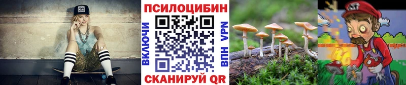 Купить закладки Самара Галлюциногенные грибы Psilocybe
